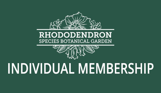 Individual Membership